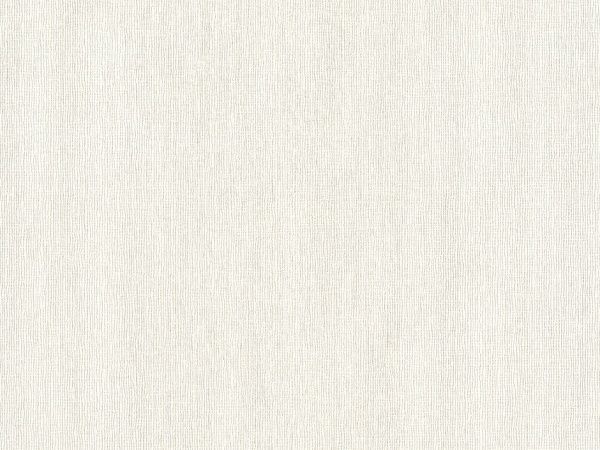 Виниловые на флизелиновой основе Славянские обои Le Grand platinum Августин 2 4513-03 1,06x10,05 м