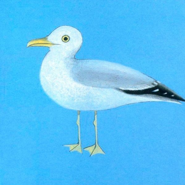 Книга «Книга. Птах» 9786177395262