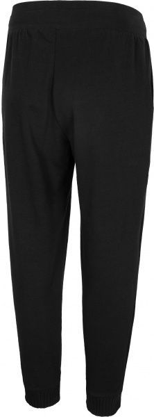 Штани 4F H4L20-SPDD010-20S р. S чорний