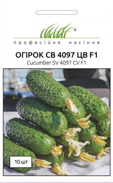 Насіння Професійне насіння огірок СВ 4097 ЦВ F1 10 шт. (4820176693839)