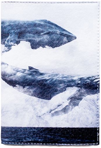 Обкладинка для паспорта Кит Just Cover