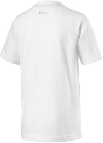 Футболка Energetics Gascon Jrs 280664-900001 140 білий