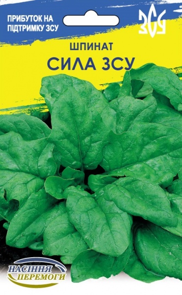 Насіння Семена Украины шпинат Матадор 