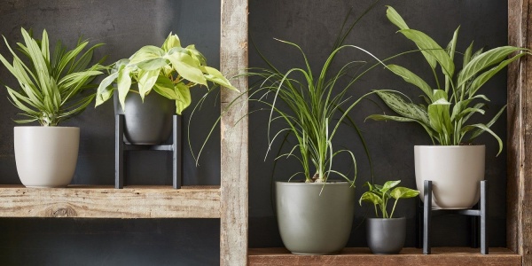 Вазон керамічний Edelman Tusca 19,5 см круглий 4,23 л зелений оливковий (1051614) 