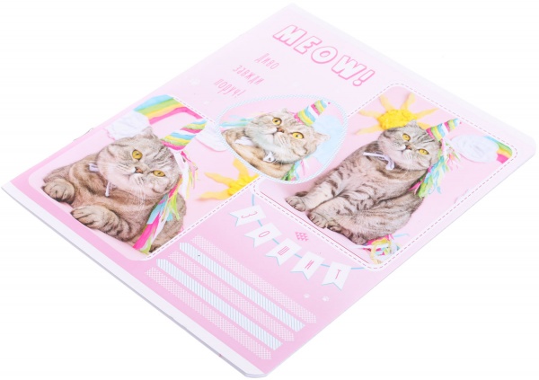 Тетрадь школьная Tadward коса