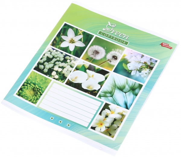 Тетрадь школьная 60 листов в линейку в ассортименте Мечты сбываются