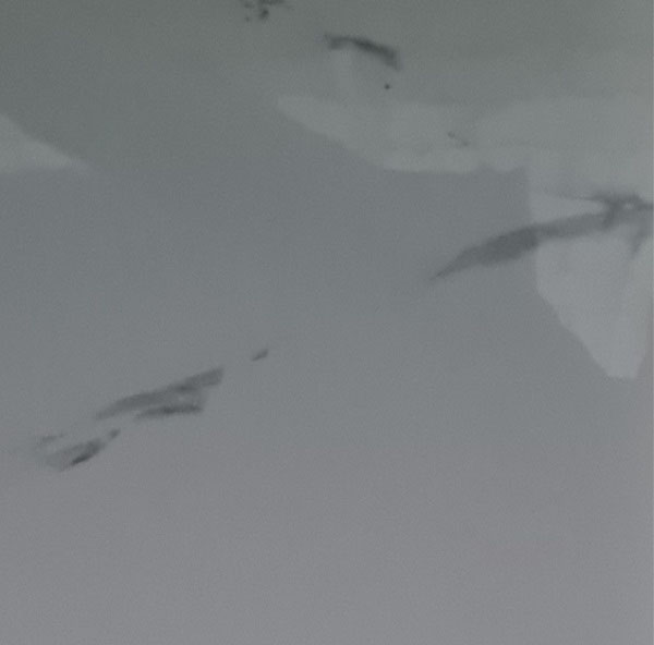 3D-панель из ПВХ самоклеющаяся HODM Белый мрамор 600x300 мм