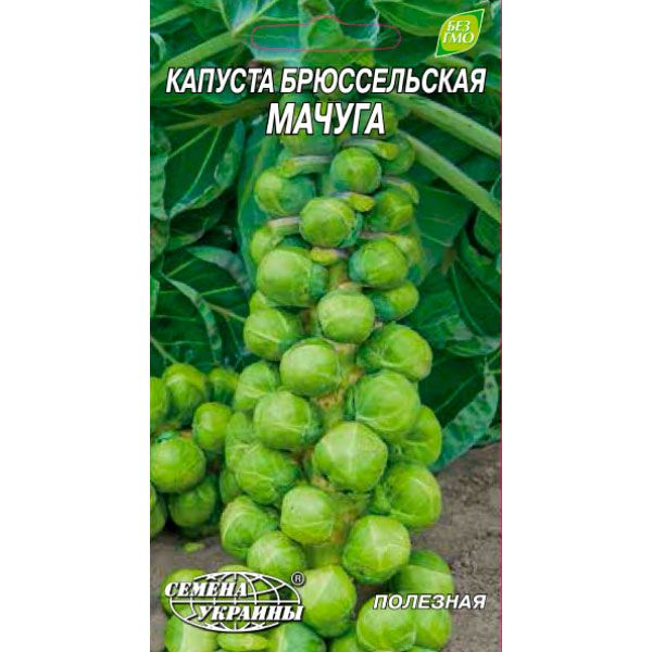 Насіння України Капуста брюссельська Мачуга 1 г