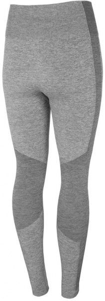 Термобрюки 4F BIDB032D H4Z20-BIDB032D-27M L/XL серый