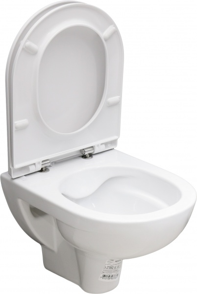 Унитаз подвесной Laufen Pro Rimless H8219520000001