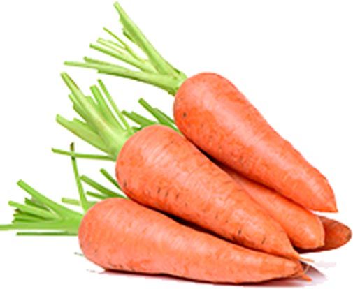 Семена Садовий Світ морковь Шантане 2г