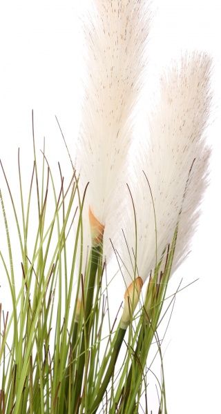 Растение искусственное Камыш A0167 білий