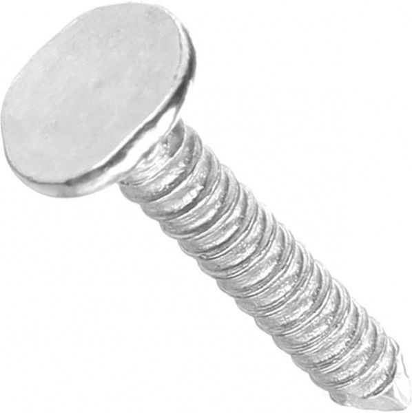 Цвяхи покрівельні 3.1x20 мм 1 кг білий цинк