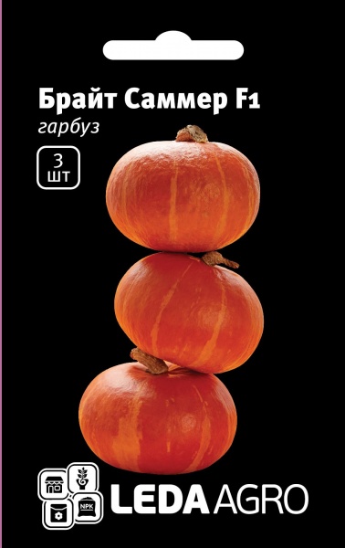 Насіння LedaAgro гарбуз Брайт Саммер F1 3 шт. (4820119796498)