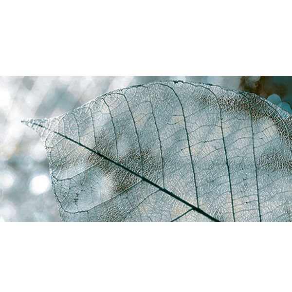 Плитка InterCerama Magia декор сірий Д 61 071 23x50