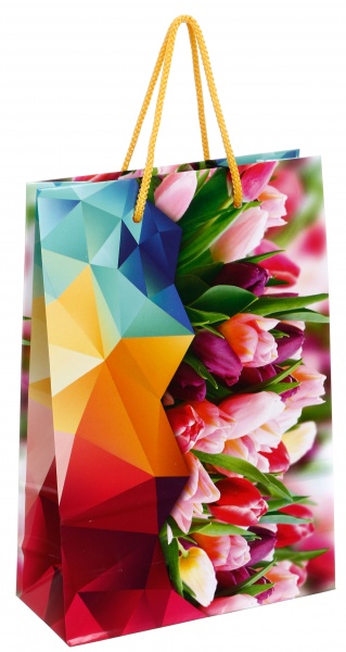 Пакет паперовий 25x17x7