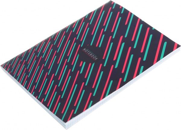 Книга обліку 1В101 48 аркушів в клітинку Аркуш