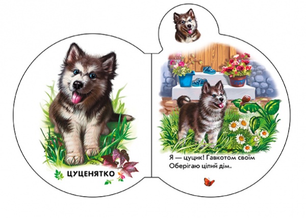 Книга Ирина Солнышко «У селі» 9-789-667-508-593