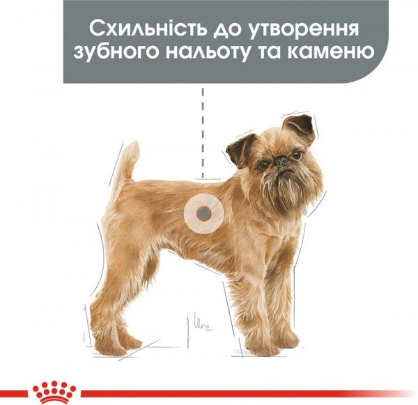 Корм Royal Canin для собак MINI DENTAL CARE (Мини Дентал Кер), 1 кг