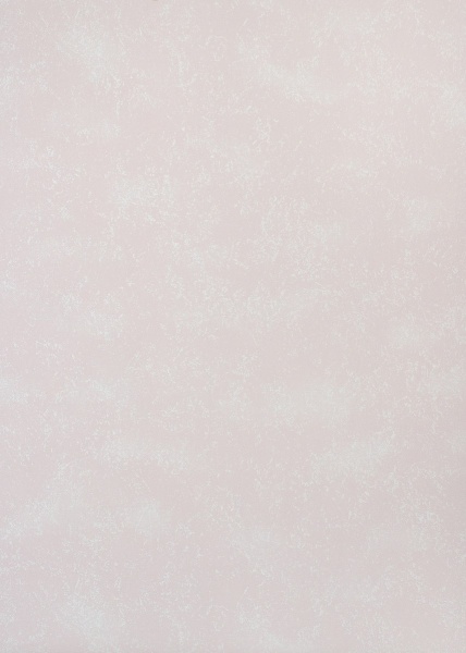 Шпалери вінілові на паперовій основі Vinil Зайчики стіна ВКС 4-1336 0,53x10,05 м 