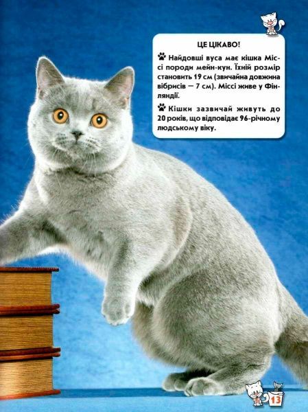 Книга Тамара Протасовицкая «Світ навколо нас. Кішки» 978-966-936-750-1