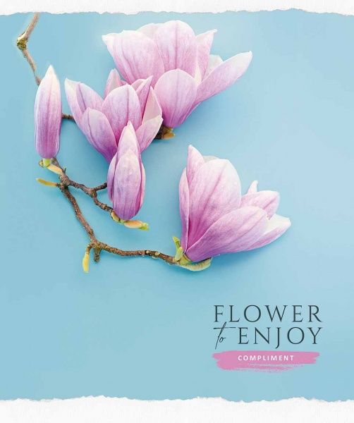 Зошит шкільний B5 60 аркушів у клітинку STAR