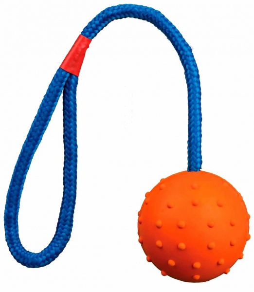 Игрушка Trixie для собак Мяч для дрессировки 6 см/30 см 3305