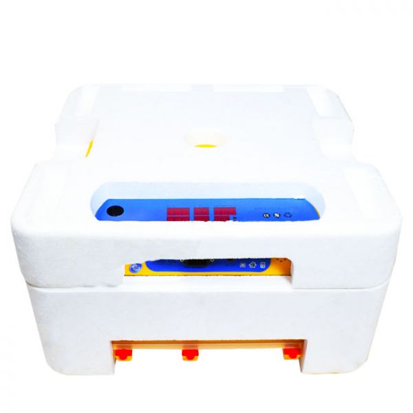 Инкубатор Инкубатор автоматический MS-56