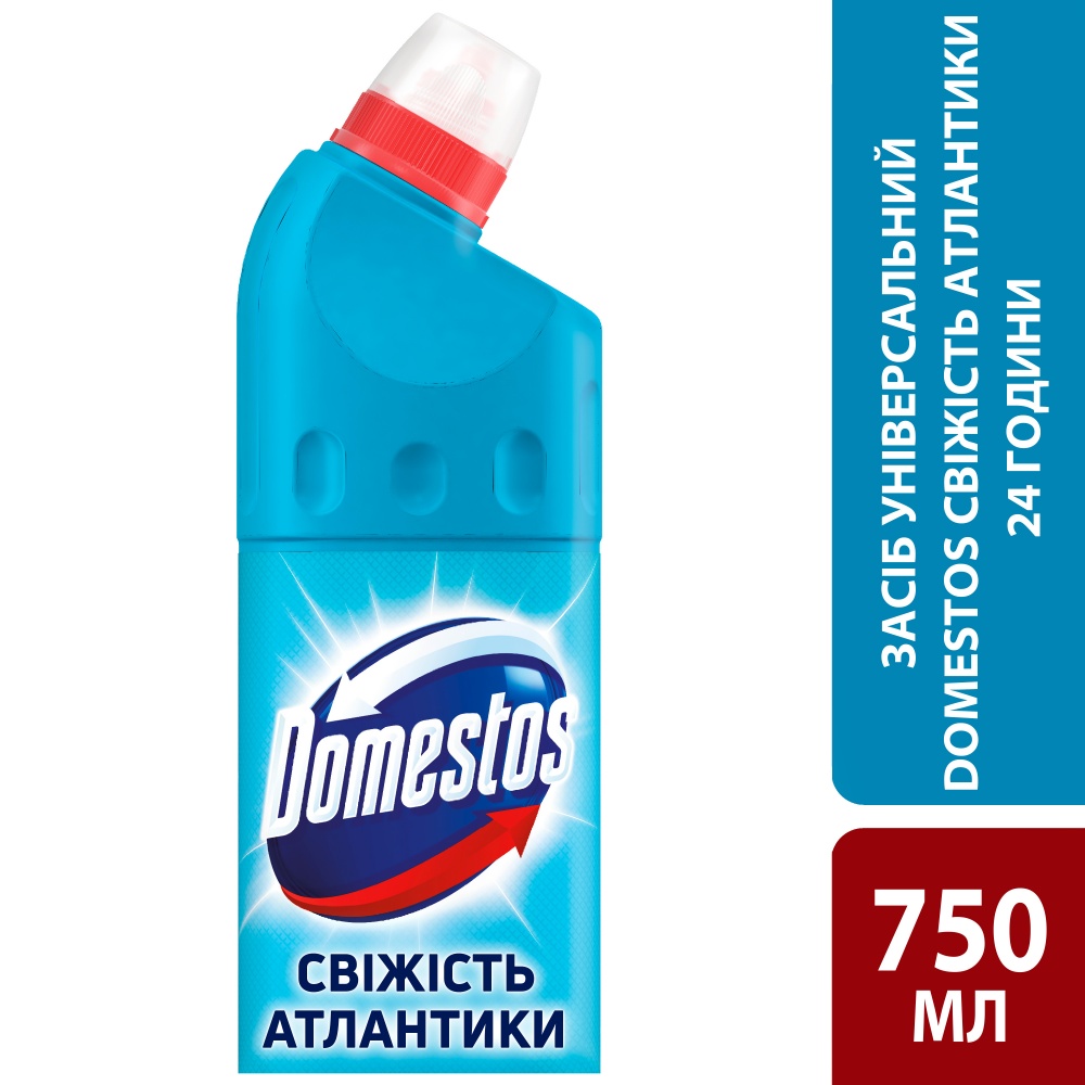 Гель Domestos Свіжість Атлантики 0,75 л