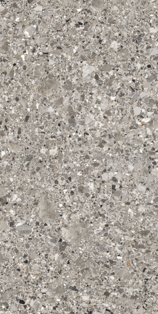 Плитка Allore Group Microterazzo Grey F P R Sumat 60x120 см