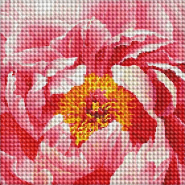 Алмазная мозаика Красочный пион 40х40 см Идейка 