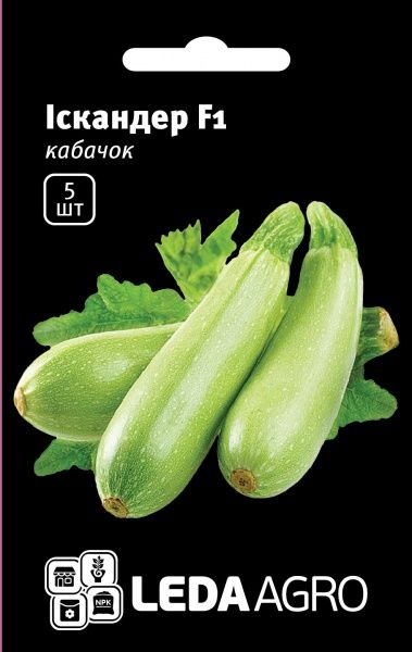 Семена LedaAgro кабачок Искандер F1 5 шт. (4820119790038)