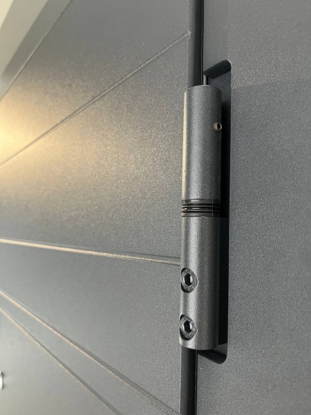 Дверь входная Tarimus Арина графит / дуб немо лате 2050х860 мм левая