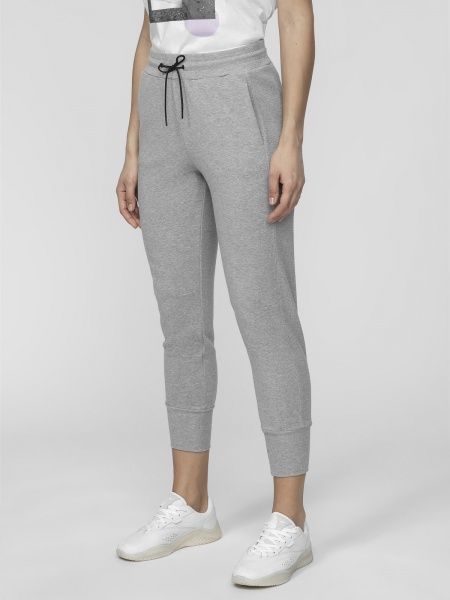 Брюки 4F D4L21-SPDD212-25M р. L серый