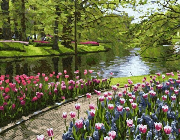 Картина за номерами Цвітіння тюльпанів BookOpt 