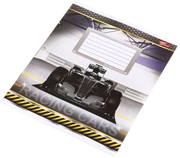 Тетрадь школьная 24 листа в линейку в ассортименте Мечты сбываются