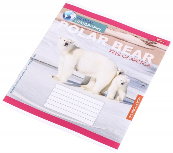 Тетрадь школьная 24 листа в линейку в ассортименте Мечты сбываются