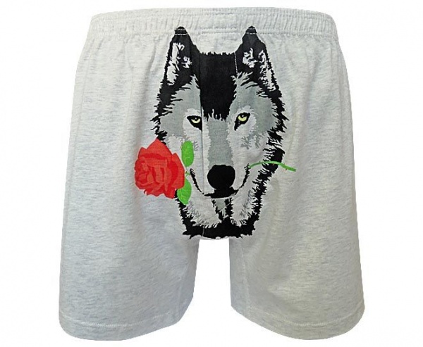 Трусы мужские Sealine 010-1473 XL серый меланж