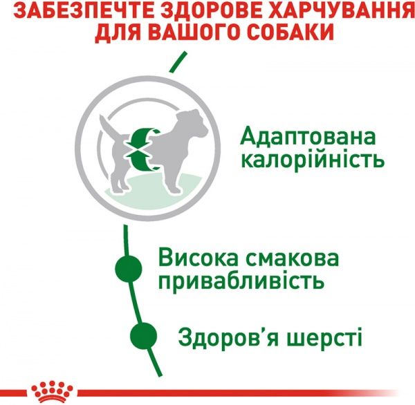 Корм Royal Canin для собак MINI ADULT (Міні Едалт), 4 кг