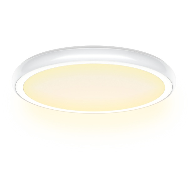 Светильник светодиодный Luna 36 Вт белый 3000-6000 К Future/PL485 