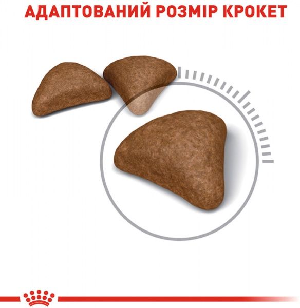 Корм Royal Canin Hairball Care 400 г