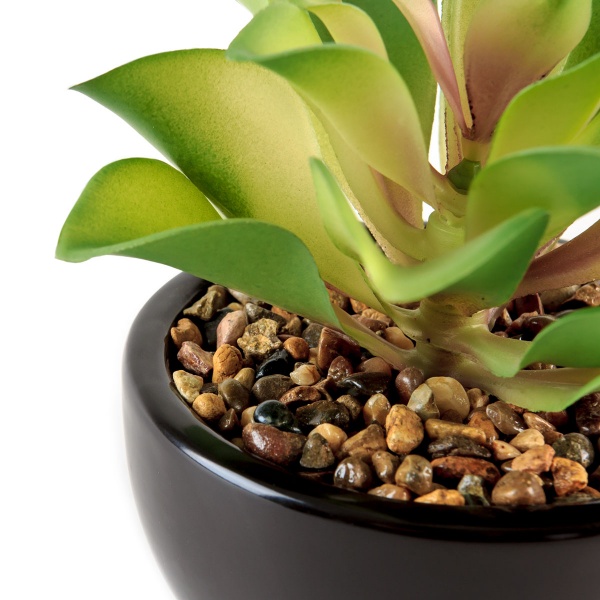 Растение декоративное DH-FLOWERS-14 M GREEN/BLACK MVM