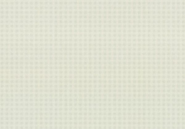 Шпалери вінілові на флізеліновій основі Vinil Китчен СШТ 1-1216 1,06x10,06 м 