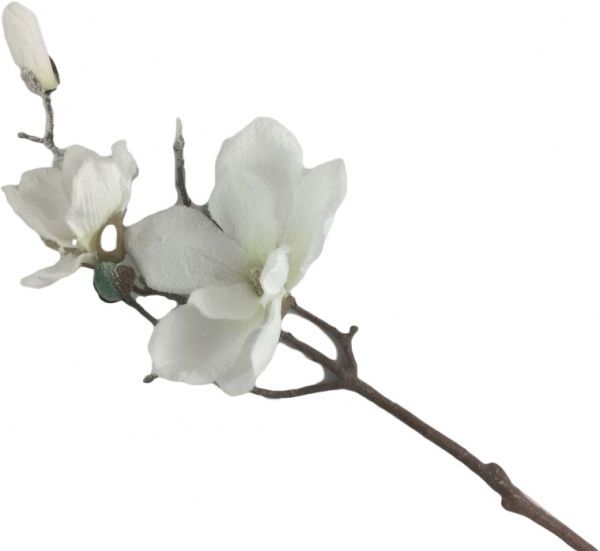 Декорація новорічна Гілка магнолії 45 см EPI-RS1Z2315-1 