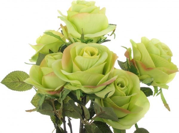 Букет роз 7 цветков зеленый