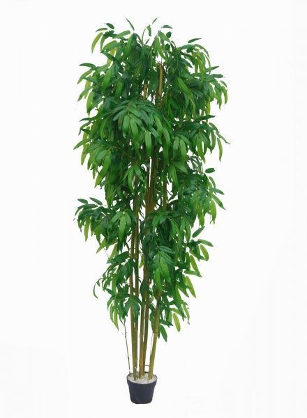 Дерево искусственное Бамбук 200 см JWS2820 Цветы от королевы