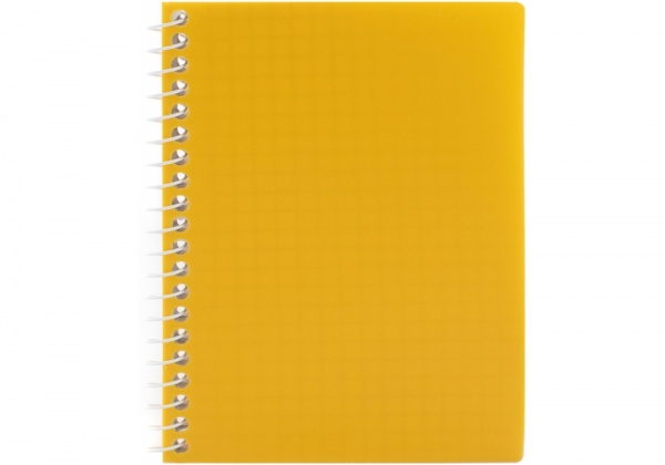 Блокнот А6 спираль 60 листов ячейка E20249 Economix