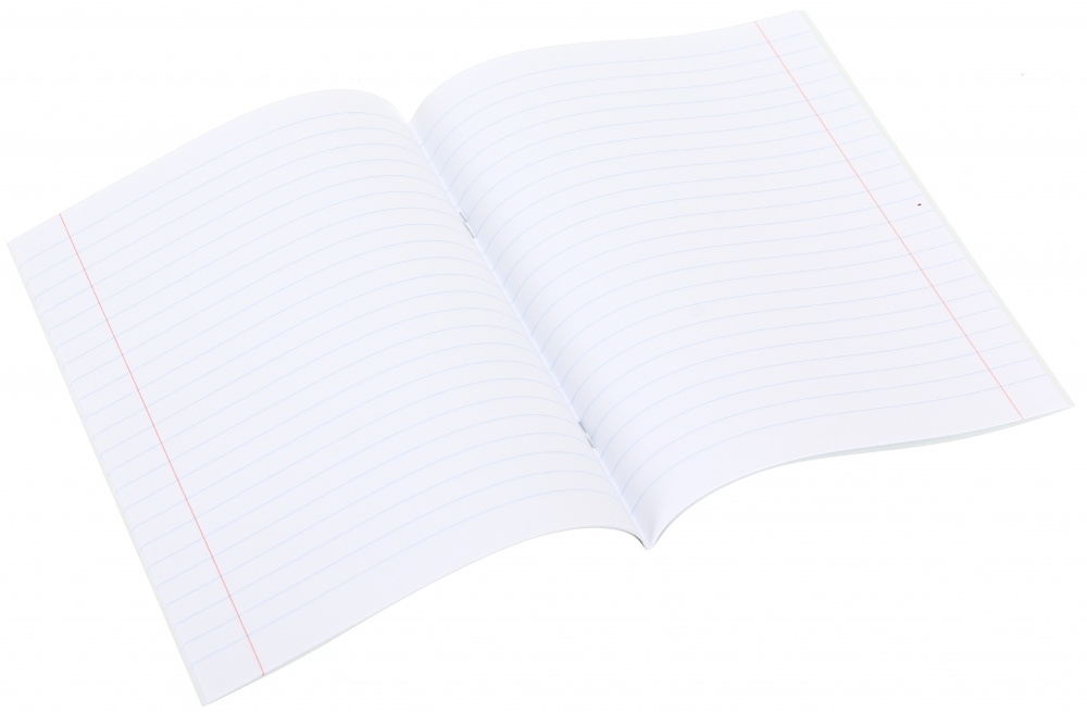 Тетрадь школьная 18 листов линия економ 2024 Nota Bene