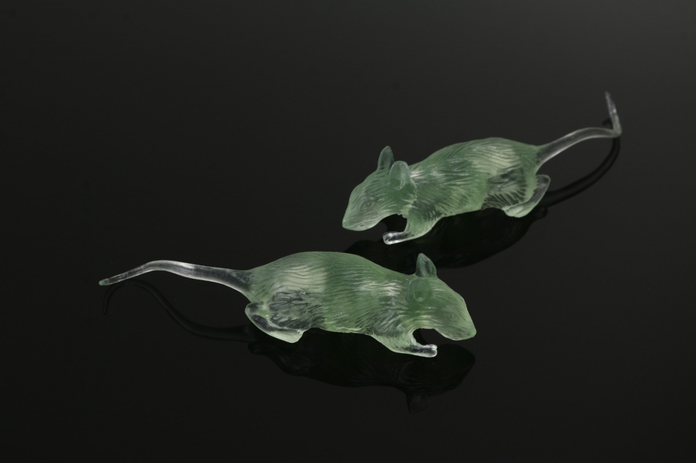 Декор на Хэллоуин Животные 6 шт в ассортименте 491663350