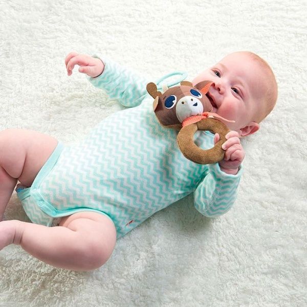 Брязкальце Tiny Love Олень Алекс